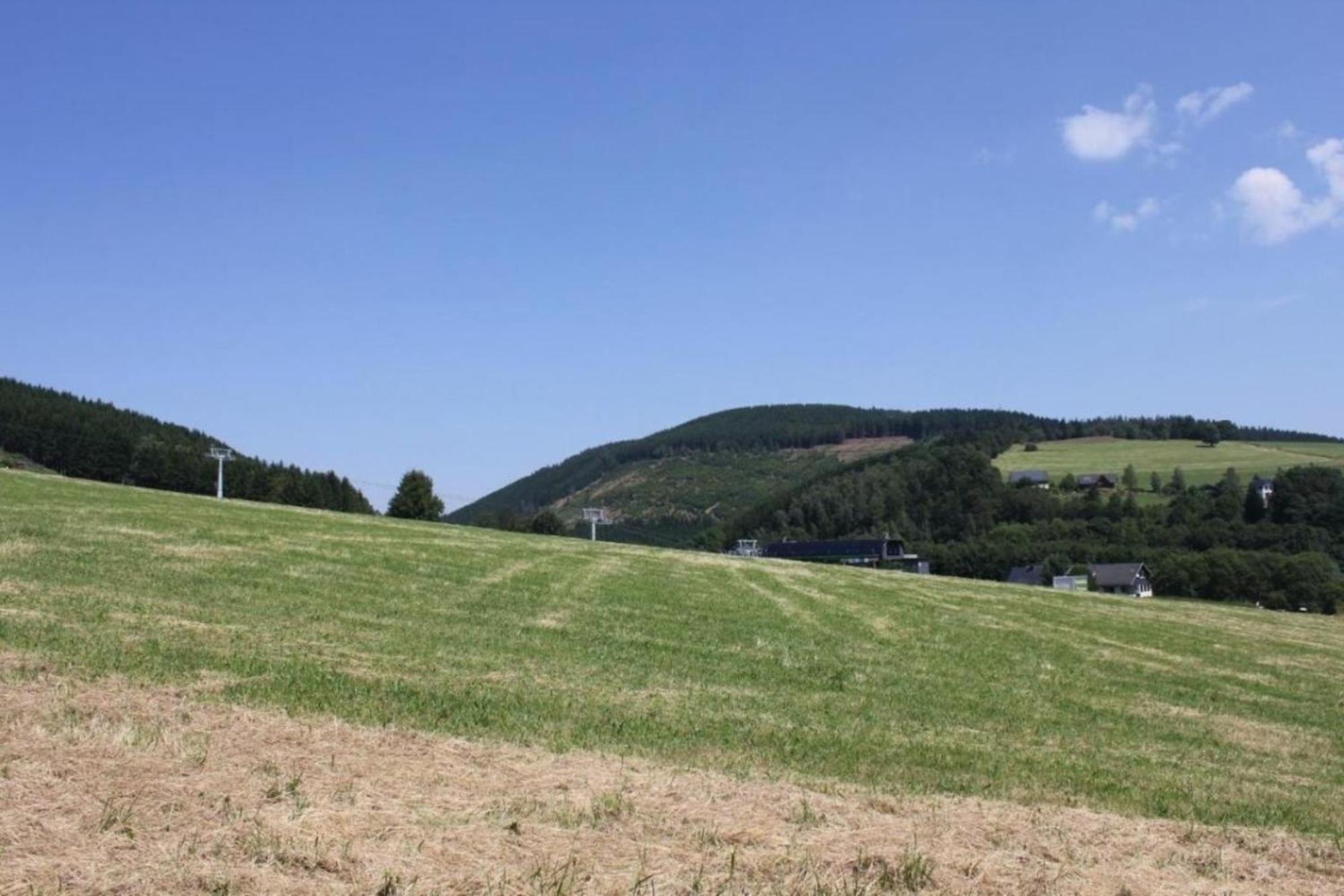 Ferien-appartment 3 Willingen (Upland)